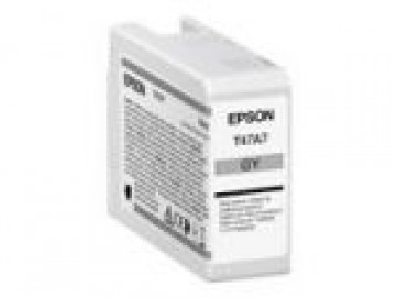 EPSON  
         
       EPSON Singlepack Gray T47A7 UltraChrome
