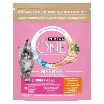 Purina Nestle PURINA One Bifensis Junior - dry cat food - 800 g