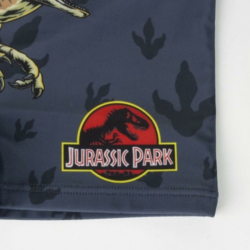 Zēnu Bokseršortu Peldbikses Jurassic Park Tumši pelēks image 3