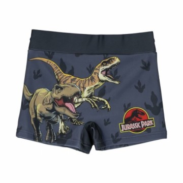 плавки-шорты для мальчиков Jurassic Park Темно-серый