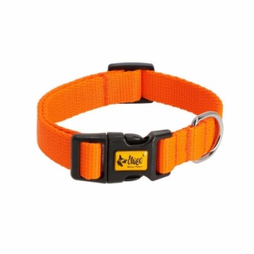 DINGO Energy orange - dog collar - 37-61 cm