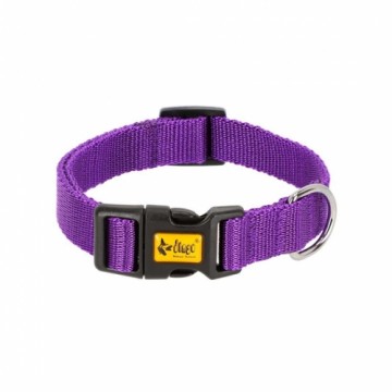 DINGO Energy purple - dog collar - 31-49 cm