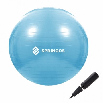 Мяч для упражнений с насосом Springos FB0006 55см