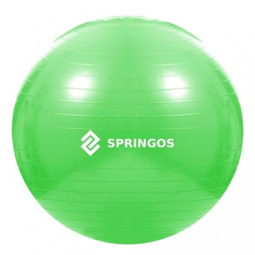 Мяч для упражнений с насосом Springos FB0007 65см