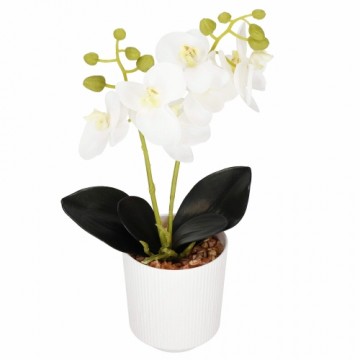 Mākslīgā orhideja Springos HA7423