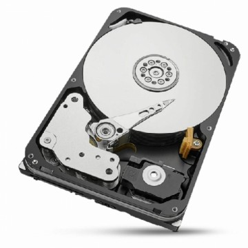 Cietais Disks Seagate 3,5" 20 TB
