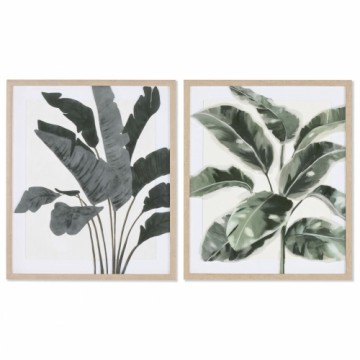 Картина Home ESPRIT Лист растения Скандинавский 52,8 x 2,5 x 62,8 cm (2 штук)