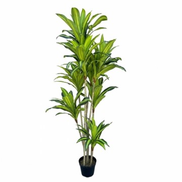 Bigbuy Home Декоративное растение Полиуретан Цемент 180 cm