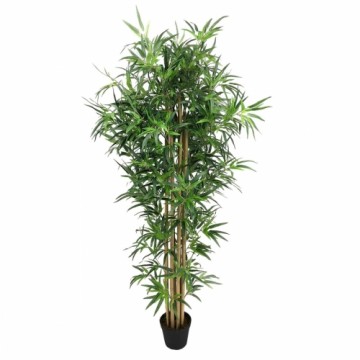 Bigbuy Home Dekoratīvs Augs Cements Audums Bambuss 180 cm