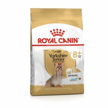 Lopbarība Royal Canin Yorkshire Terrier 8+ Putni 1,5 Kg Odrasle