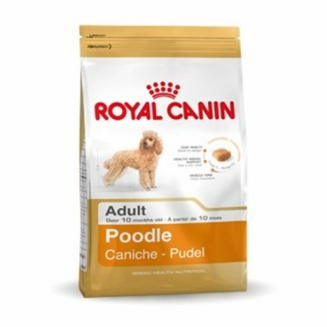 Lopbarība Royal Canin Poodle Adult Pieaugušais 1,5 Kg