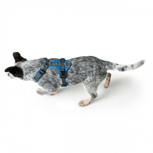 Упряжь для собак Hunter Maldon Up Синий 46-82 cm S/M image 3