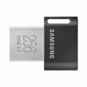 USB Zibatmiņa Samsung MUF-256AB/APC Sudrabains 256 GB