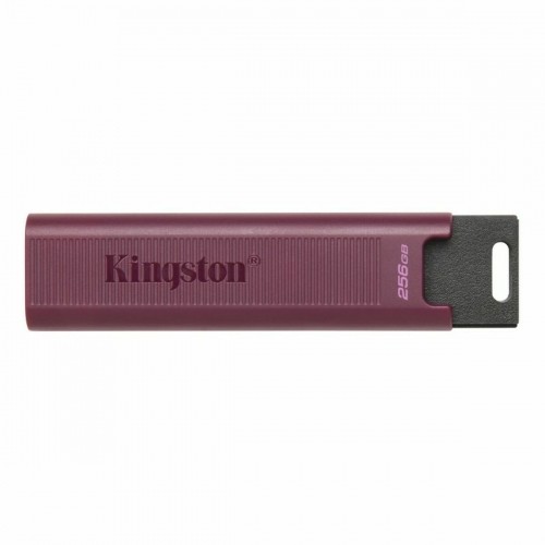 USB Zibatmiņa   Kingston Max         Sarkans 256 GB image 1