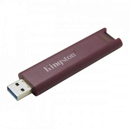 USB Zibatmiņa   Kingston Max         Sarkans 256 GB image 2