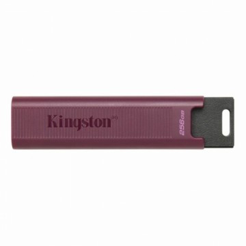 USB Zibatmiņa   Kingston Max         Sarkans 256 GB