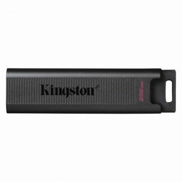 USB Zibatmiņa Kingston DTMAX/256GB Melns 256 GB