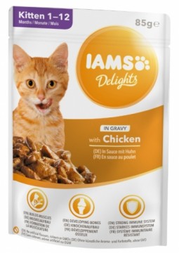 Eukanuba IAMS Delights Kitten Chicken in gravy - wet cat food - 85g