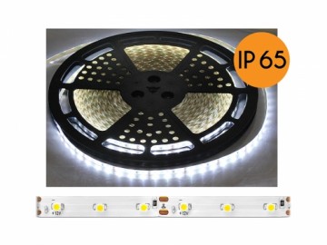 Eco Light PS ECO LED vads IP65, silti balta gaisma, 60diod|m, 25m, balta pamatne, SMD2835.