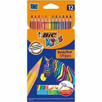 Цветные карандаши Bic 9505222 Разноцветный