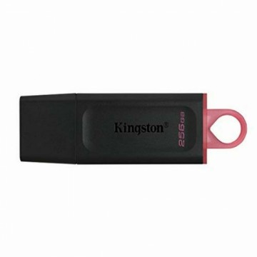 USB Zibatmiņa Kingston DTX/256GB Melns 256 GB