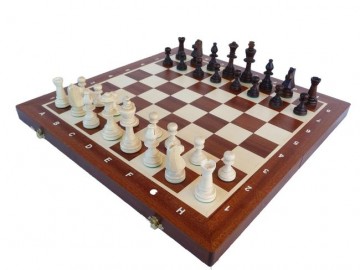 Šahs Chess Tournament No 5 Intars Nr.95