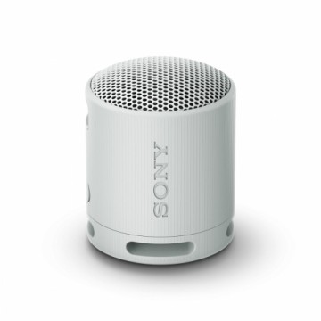 Портативный Bluetooth-динамик Sony SRSXB100H Серый