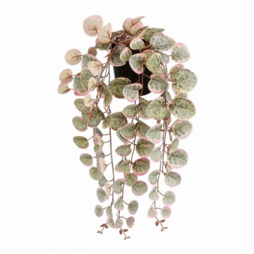 Декоративное растение Mica Decorations Ceropegia Woodii 10 x 46 x 12 cm Искусственная Для подвешивания