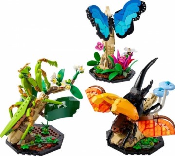 LEGO Ideas The Insect Collection 21342