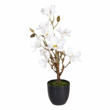 Bigbuy Home Декоративное растение полиэстер полиэтилен Железо 30 x 30 x 60 cm Magnolia
