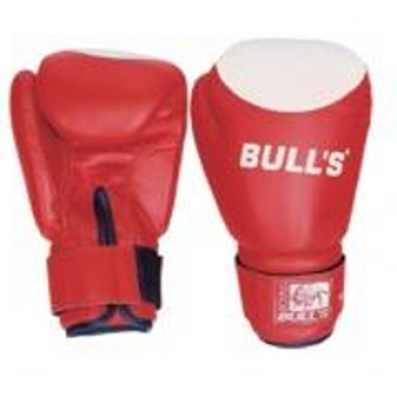 Boxing Gloves TT-202