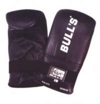 BULL&#039;S PM-273